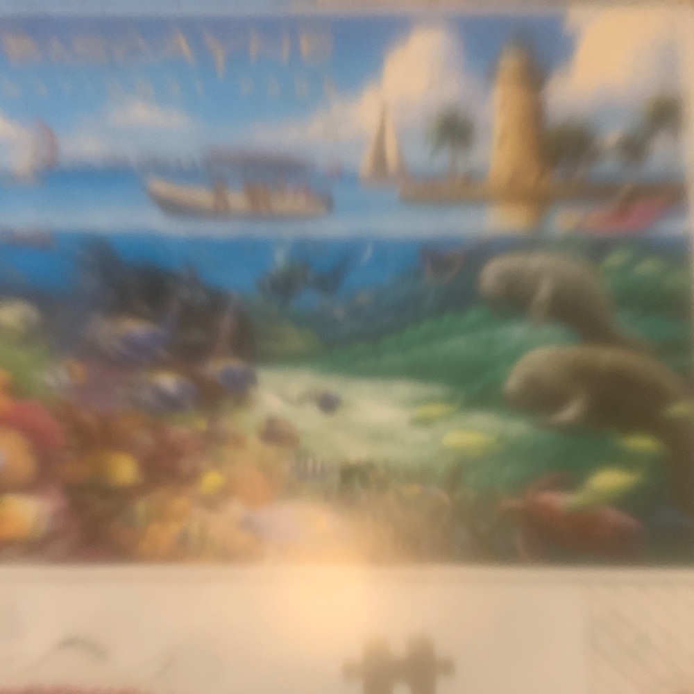 Puzzle by Boardwalk. 500ct. Biscayne